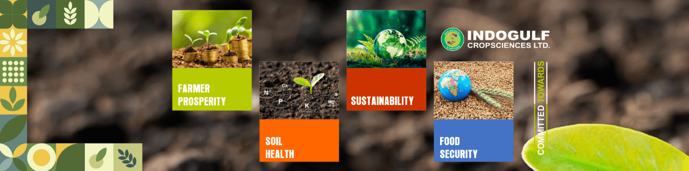 Indogulf IPO धमाका! ₹12 GMP और ₹123 टारगेट – क्या आप चूक रहे हैं बड़ा मौका? 2 Indogulf Cropsciences Ltd