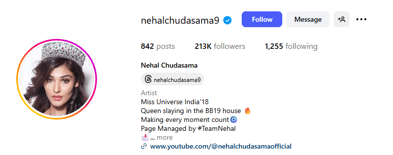 Nehal Chudasama Instagram