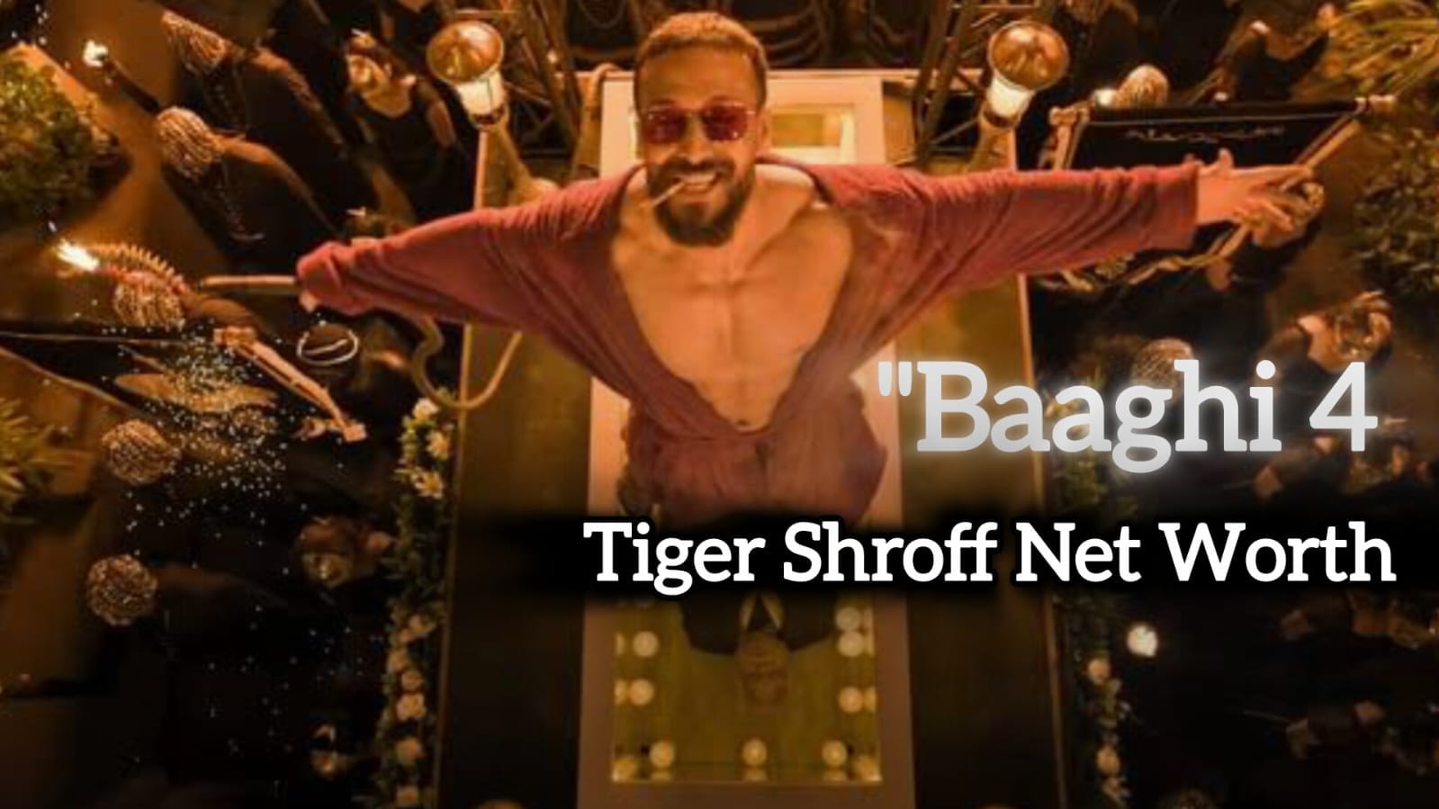 Tiger Shroff Net Worth 2025 Baaghi 4