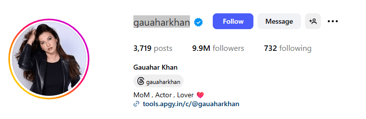 Gauahar Khan Instagram